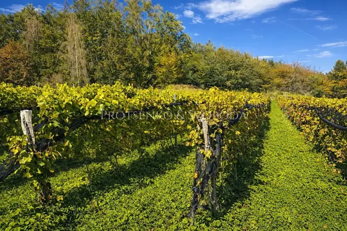 Prodej zemědělské usedlosti, Lhenice, 300 m2