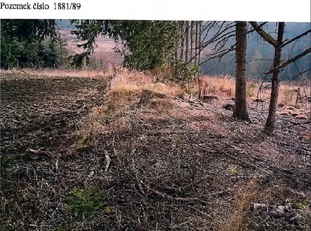 Prodej lesa, Kamenice nad Lipou, 5521 m2