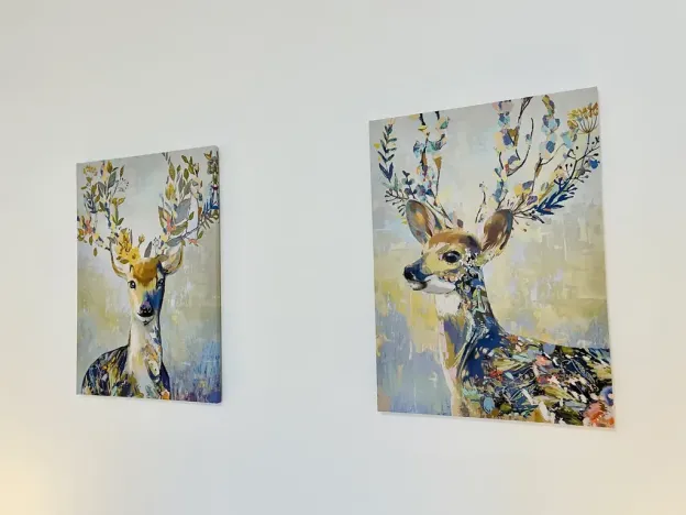 Pronájem bytu 2+1, Jihlava, Farní, 56 m2