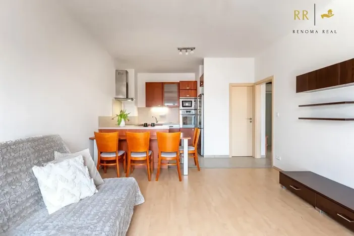 Pronájem bytu 2+kk, Brno, Zlínská, 55 m2