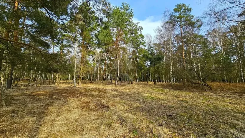 Prodej pozemku pro bydlení, Hranice, 10095 m2