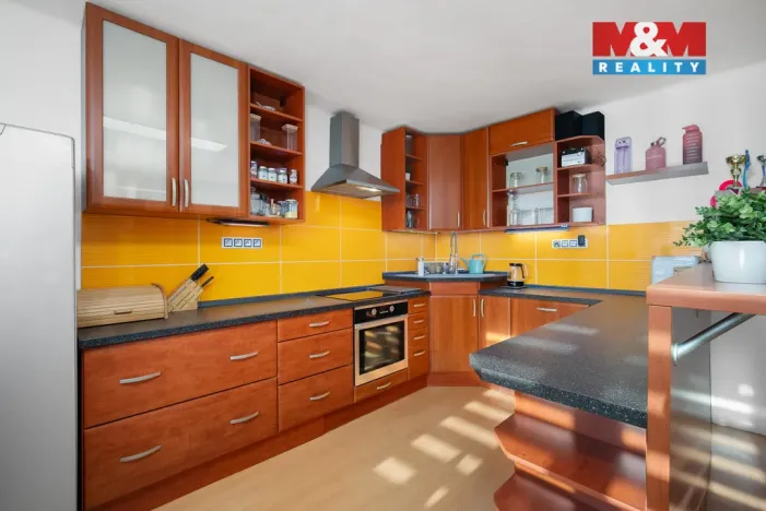 Prodej bytu 3+kk, Nechanice - Staré Nechanice, 117 m2