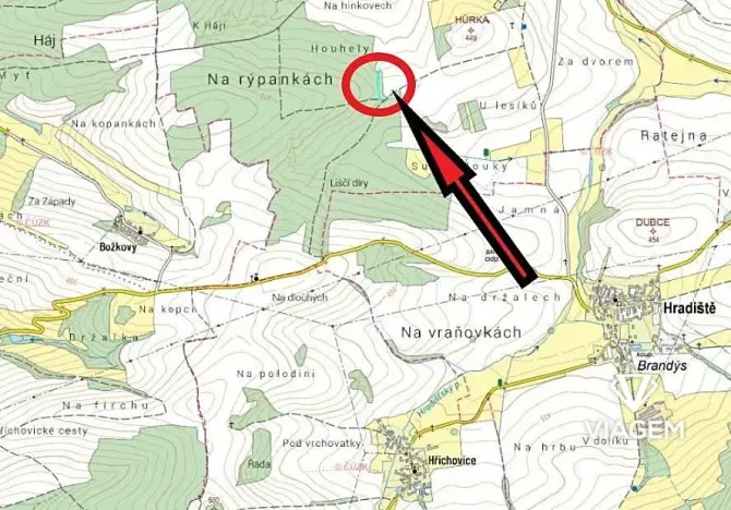 Prodej lesa, Blížejov, 1490 m2