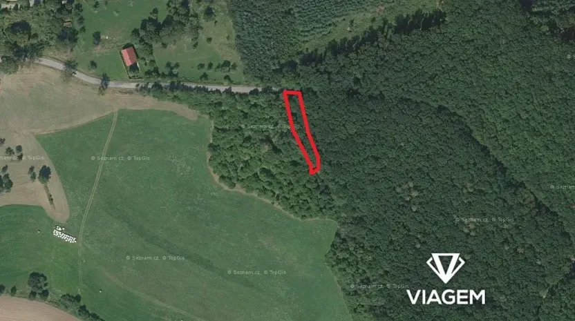 Prodej podílu lesa, Bačalky, 626 m2