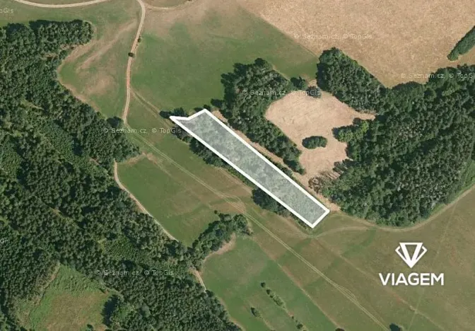 Prodej podílu lesa, Dolany, 3080 m2