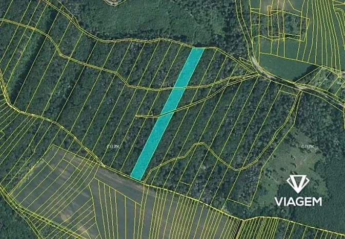 Prodej podílu lesa, Prštice, 1259 m2