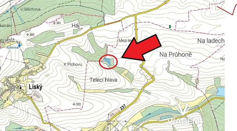 Prodej podílu lesa, Pozdeň, 2404 m2