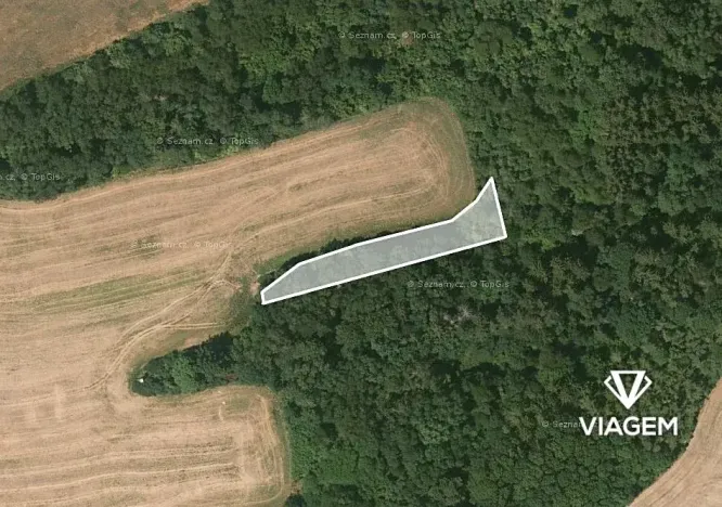 Prodej podílu lesa, Pavlíkov, 690 m2