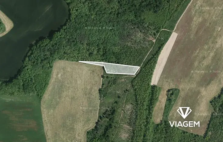 Prodej podílu lesa, Rybníky, 2697 m2