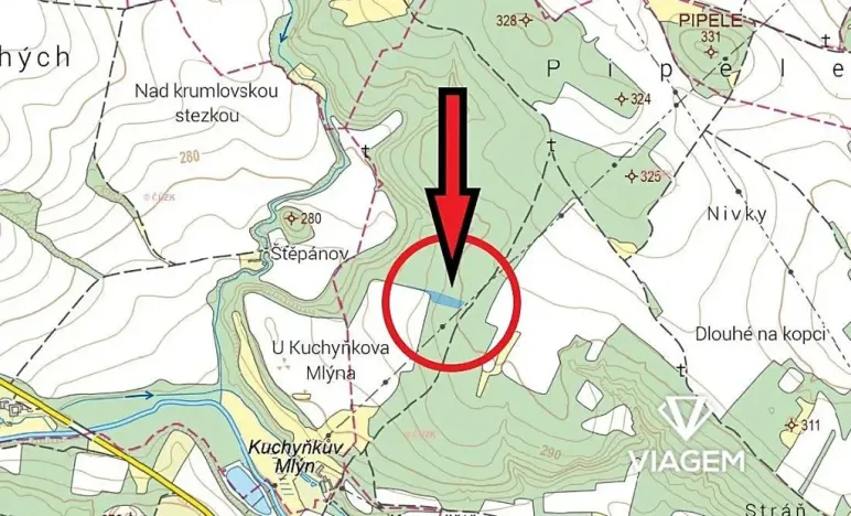 Prodej podílu lesa, Rybníky, 2697 m2