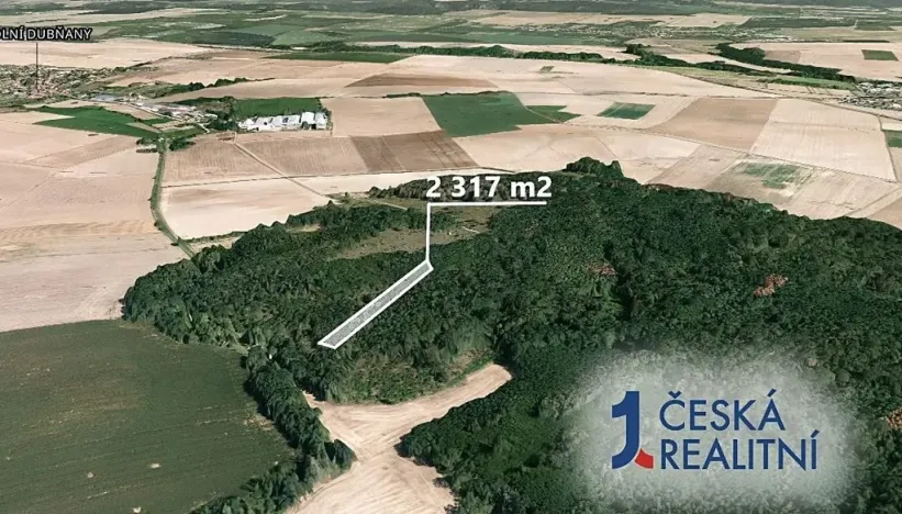 Prodej podílu lesa, Rybníky, 2317 m2