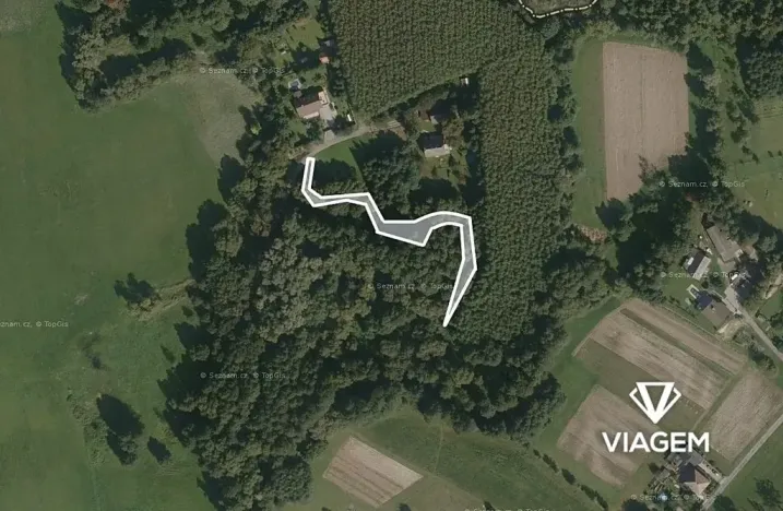 Prodej lesa, Petrovice u Karviné, 566 m2