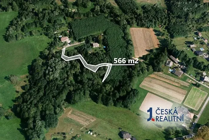 Prodej lesa, Petrovice u Karviné, 566 m2