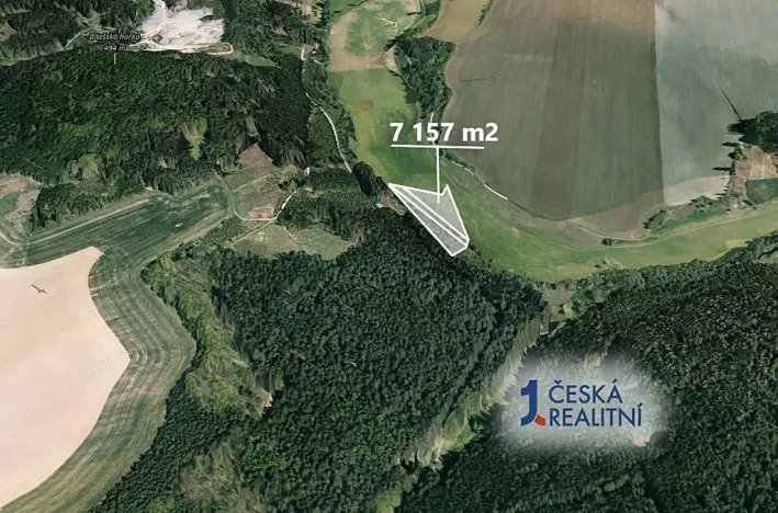 Prodej podílu lesa, Velká Bíteš, 1431 m2