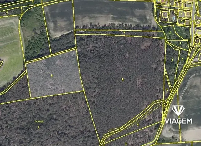 Prodej podílu lesa, Hrdlív, 2102 m2