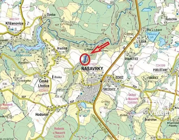 Prodej podílu lesa, České Lhotice, 7146 m2