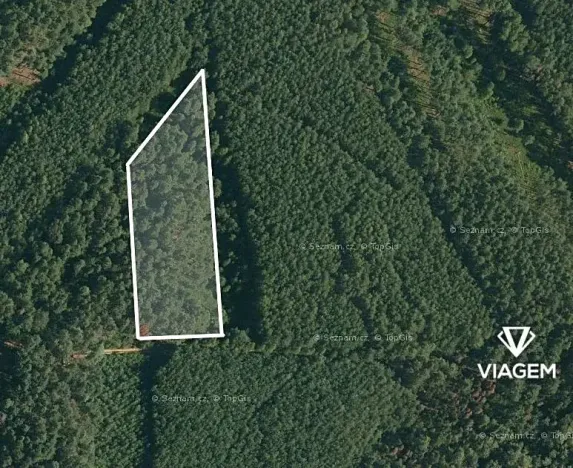 Prodej podílu lesa, Vlastiboř, 1755 m2