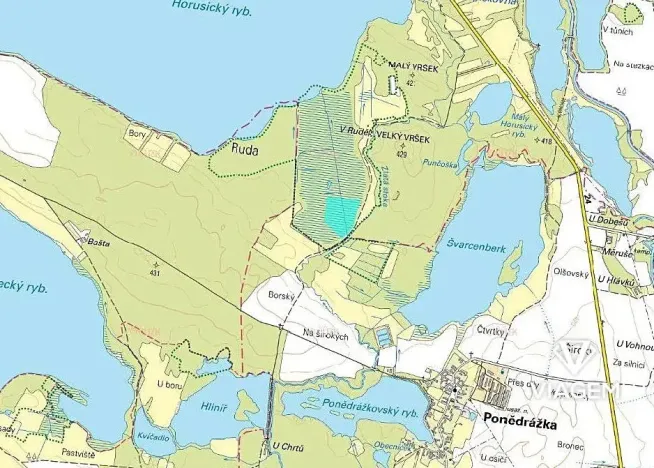 Prodej podílu lesa, Veselí nad Lužnicí, 20552 m2