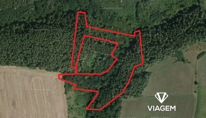 Prodej podílu lesa, Chlum, 2805 m2