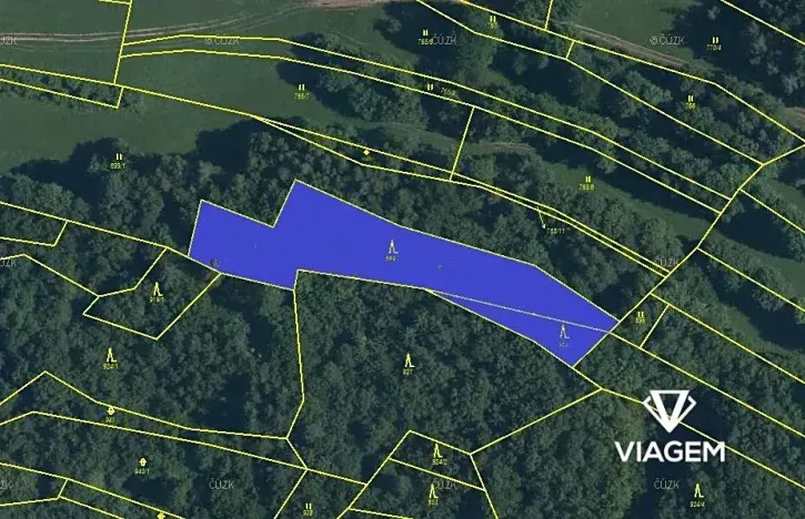 Prodej podílu lesa, Lidečko, 1248 m2