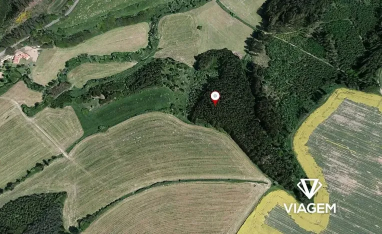 Prodej podílu lesa, Radošovice, 2390 m2