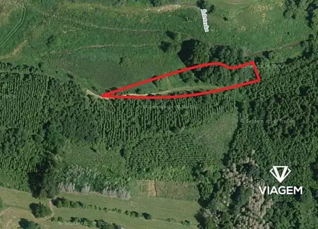 Prodej podílu lesa, Budeč, 2254 m2