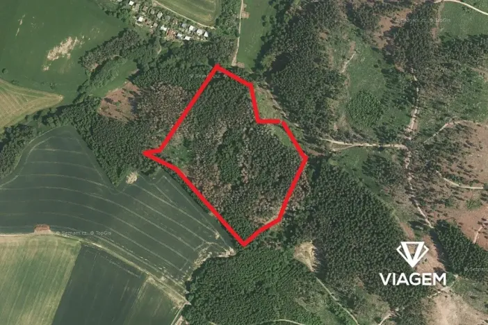 Prodej podílu lesa, Katov, 3762 m2