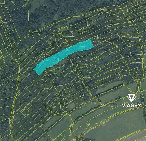 Prodej podílu lesa, Nový Jičín, 3706 m2