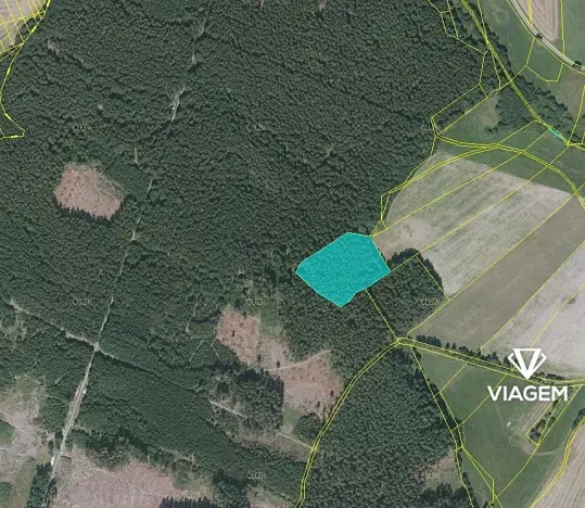 Prodej podílu lesa, Buková, 821 m2