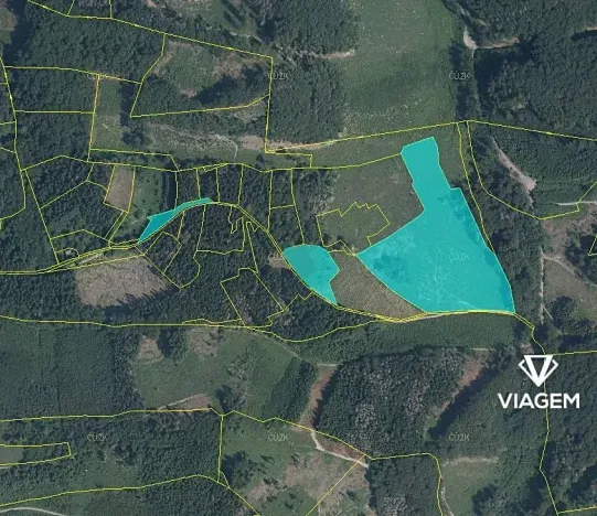 Prodej podílu lesa, Růžďka, 26713 m2