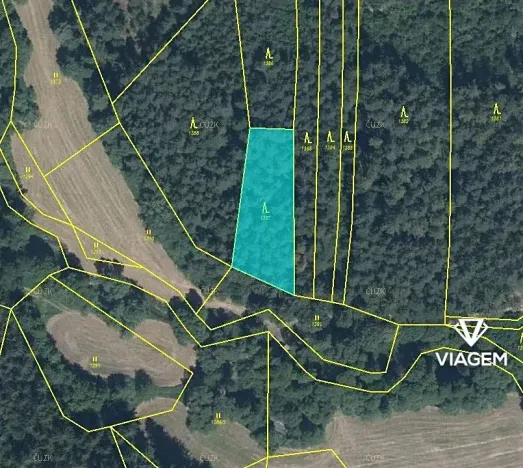 Prodej podílu lesa, Chýstovice, 485 m2