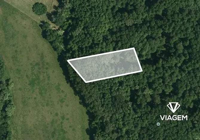 Prodej podílu lesa, Brno, 582 m2