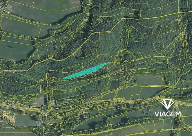 Prodej lesa, Bratřejov, 4091 m2
