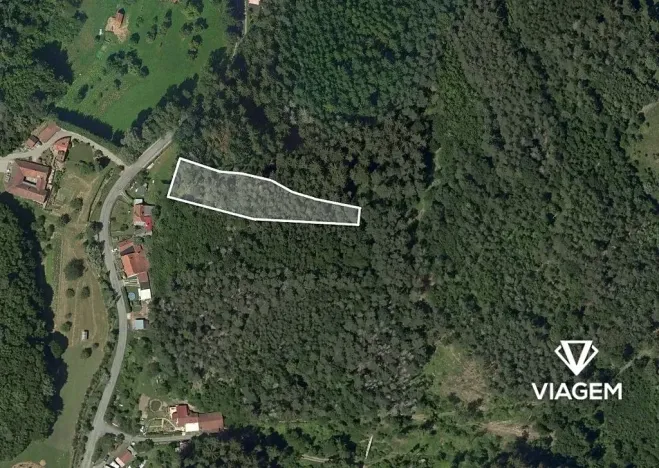 Prodej lesa, Letovice, 2436 m2