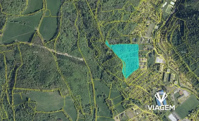 Prodej lesa, Povrly, 26984 m2