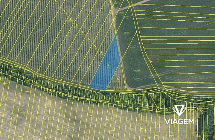 Prodej pole, Nosislav, 1542 m2