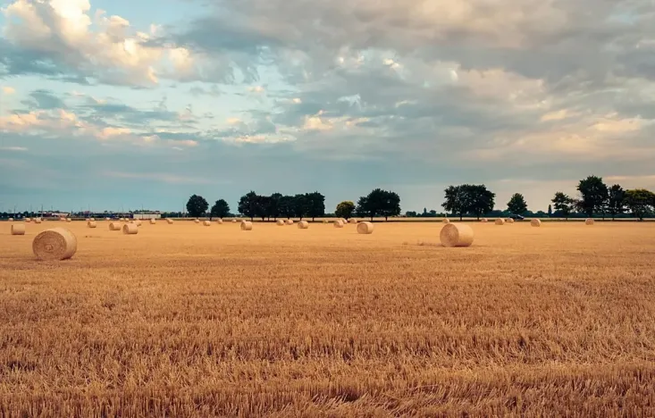 Prodej podílu pole, Nový Vestec, 2331 m2