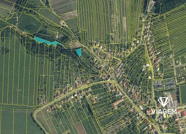 Prodej lesa, Velký Ořechov, 2756 m2