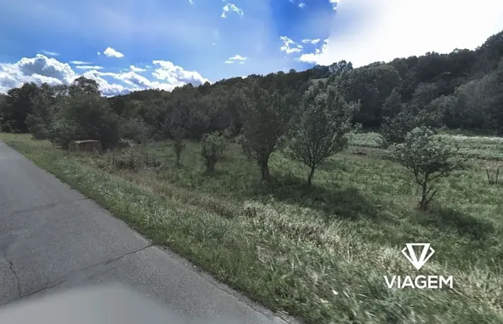 Prodej podílu lesa, Kaňovice, 128 m2