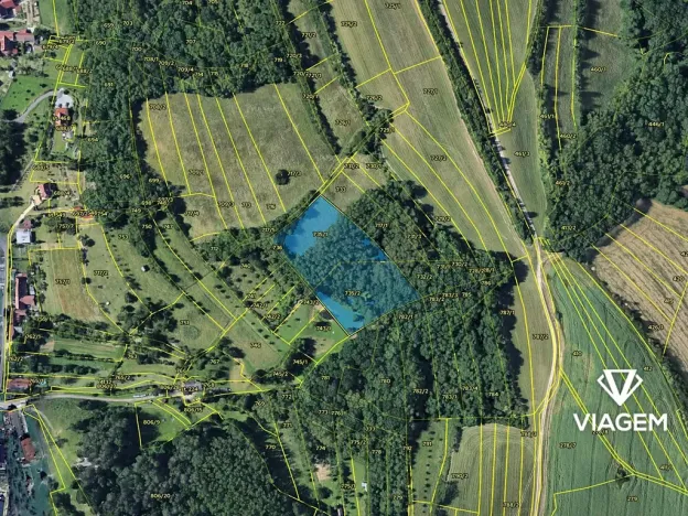 Prodej podílu lesa, Kudlovice, 3149 m2