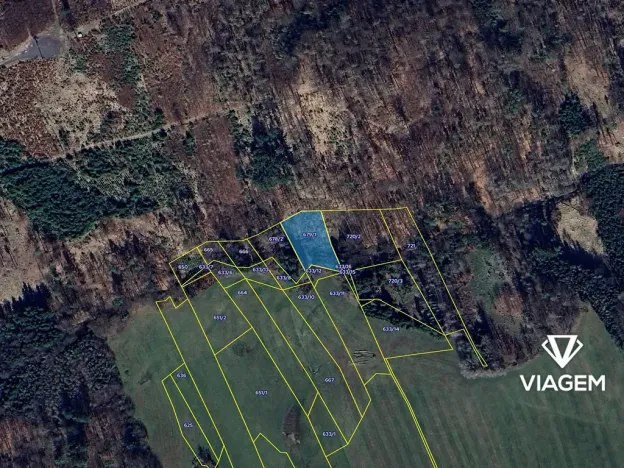 Prodej lesa, Stříbrná Skalice, 2484 m2