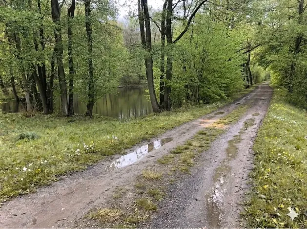 Pronájem rybníku, Votice, 2482 m2