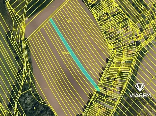 Prodej pole, Skoronice, 1182 m2