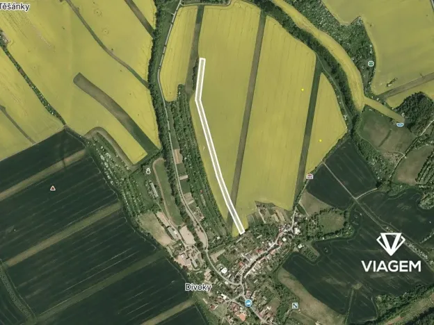 Prodej podílu pole, Zdounky, 557 m2