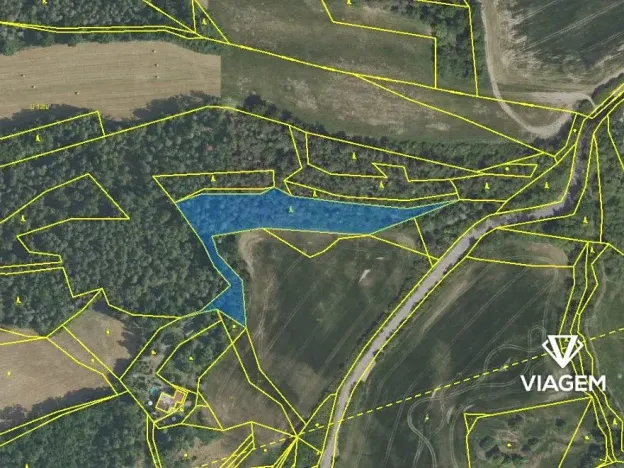 Prodej podílu lesa, Čím, 2849 m2