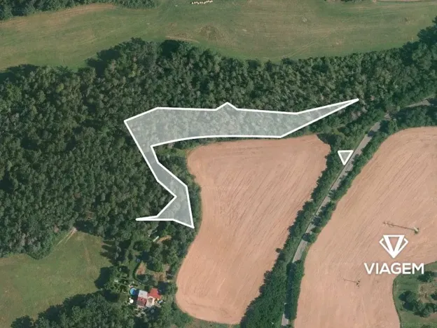 Prodej podílu lesa, Čím, 2849 m2