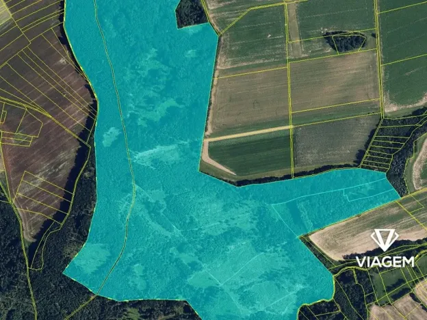 Prodej podílu lesa, Palonín, 94377 m2