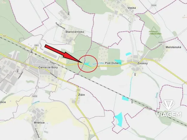 Prodej podílu lesa, Dašice, 3483 m2