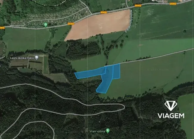 Prodej pole, Trutnov, 29037 m2