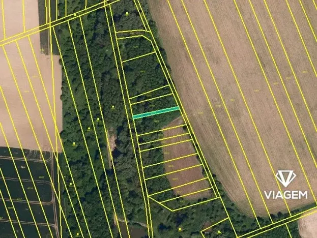 Prodej podílu lesa, Bystřice pod Hostýnem, 597 m2